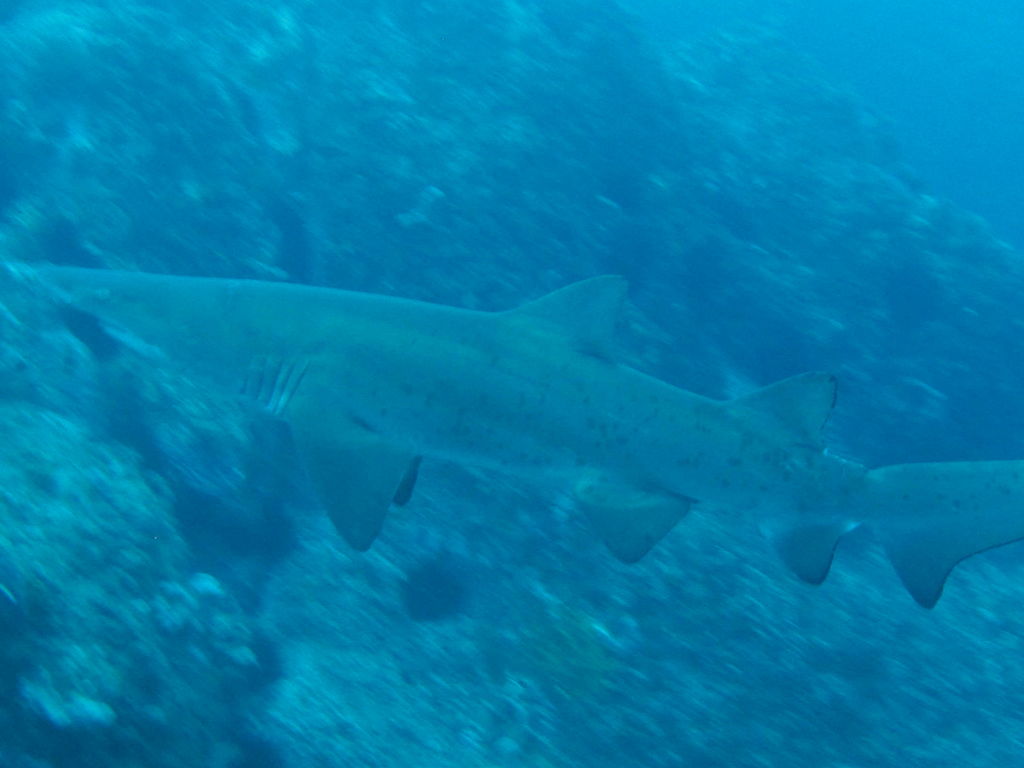 88e39193-c1a0-4b71-98d0-395f08501780