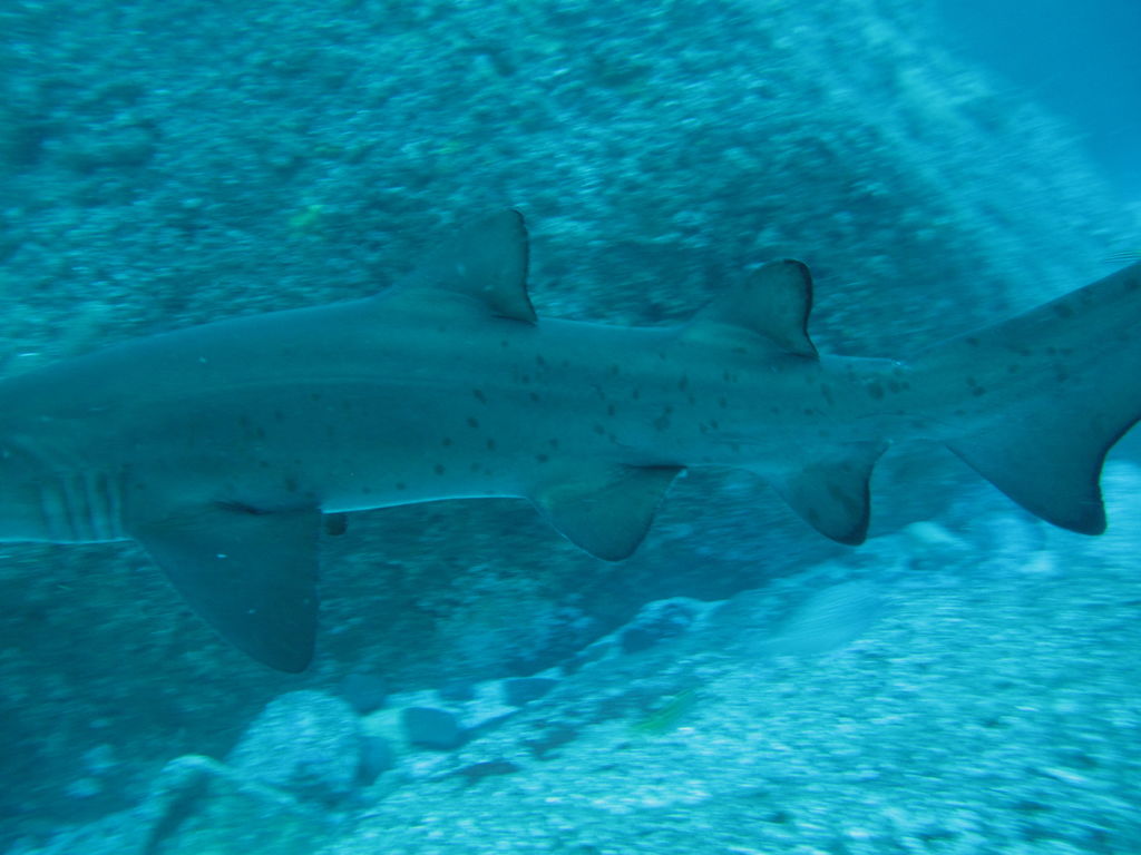 a30ee58a-c1fe-476d-90fc-f1b0937a4d3d