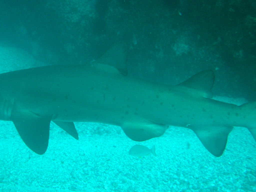 ab71fc3f-22a4-48d5-b9ee-f3dd8c8c8ce1