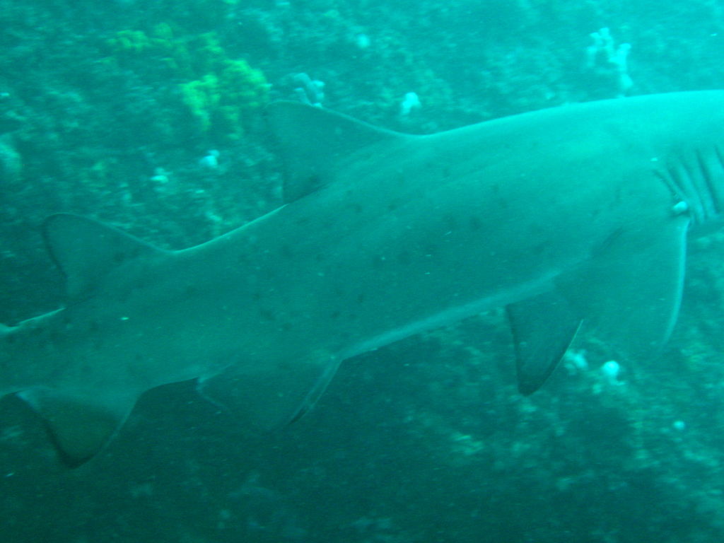 135106ea-0f6e-4006-85be-6235fab165db