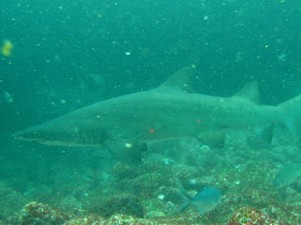 e51aadea-6c13-4fc3-9914-215d43e3c9f1