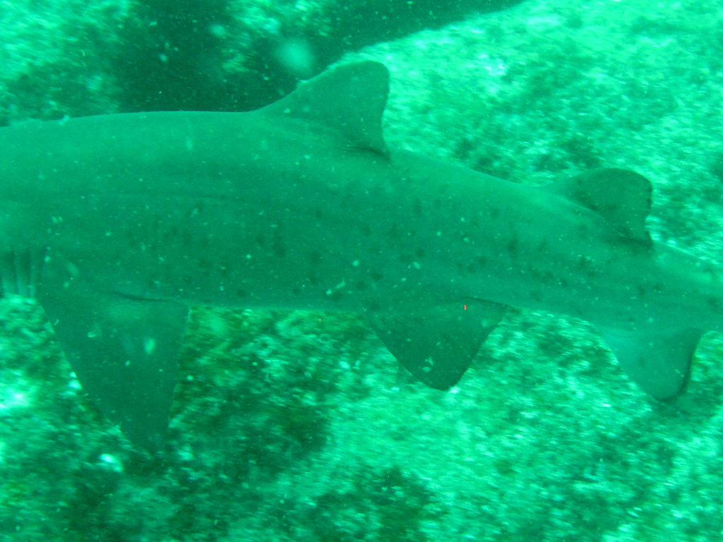 461481df-4450-417d-b06c-9896ea92788a