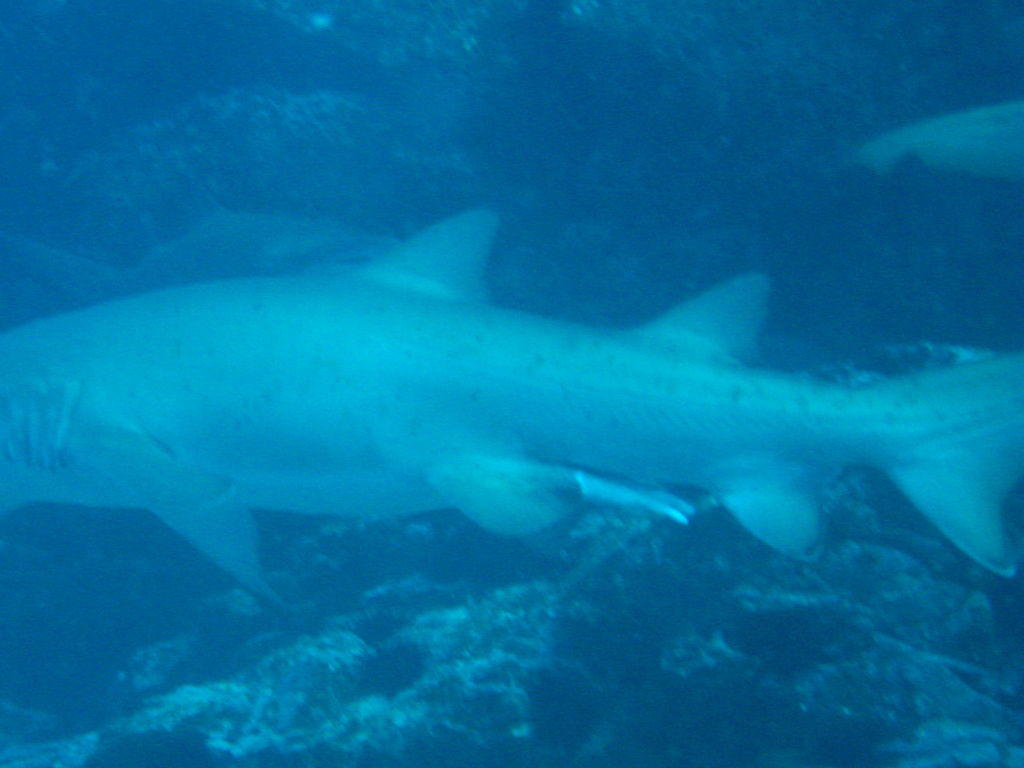 bf65bbd1-6a5e-4084-8a75-380e09a0d923