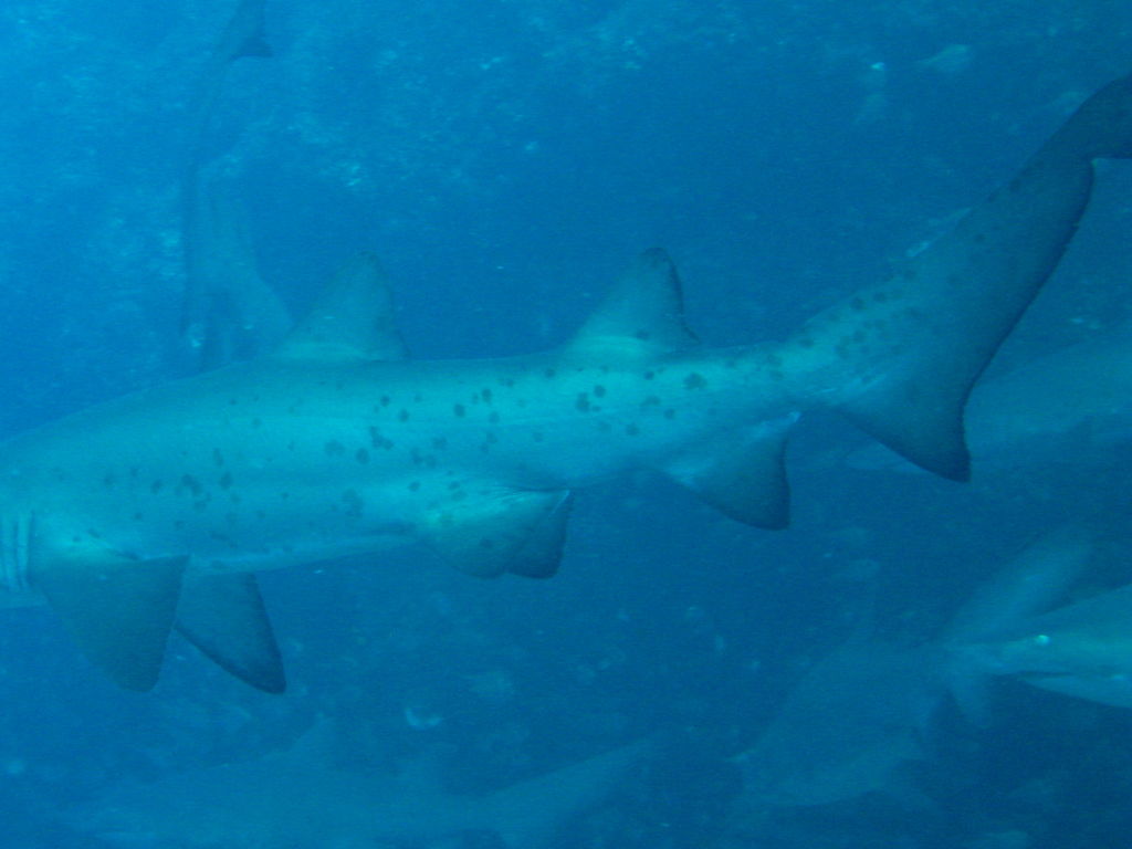 edfc2c3b-e47f-44b5-9484-c435dd7d39ae