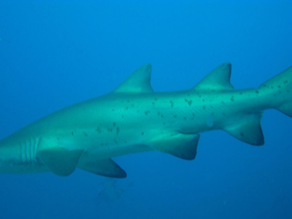 de8359c2-426e-409e-abc2-680ef2d6db96