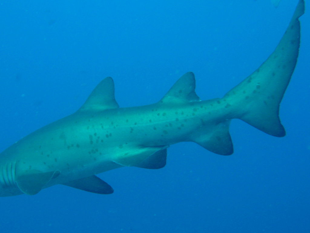 feb27669-5620-49a8-b444-c1844ec37c4c