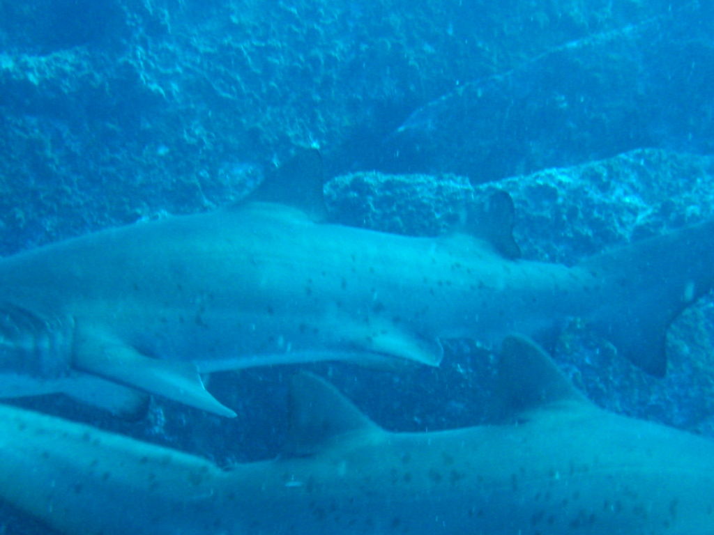 1abc3853-0528-4d43-bf74-7e7d578e7062