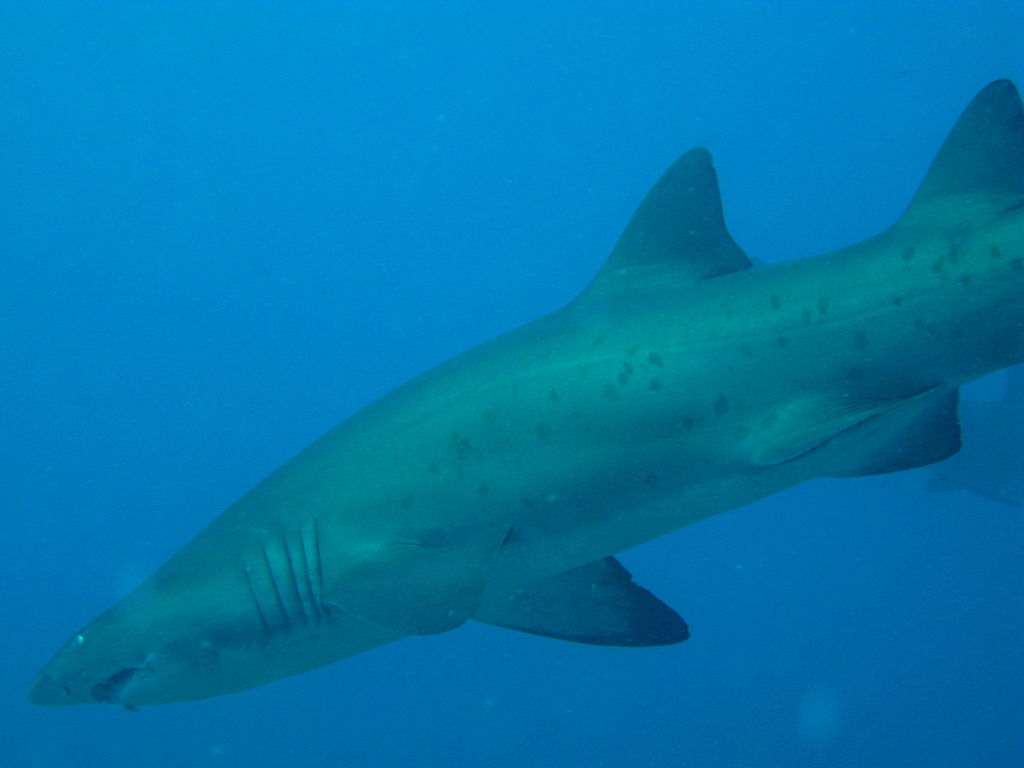 b10b7fec-d93e-4dea-8630-ce4712081558