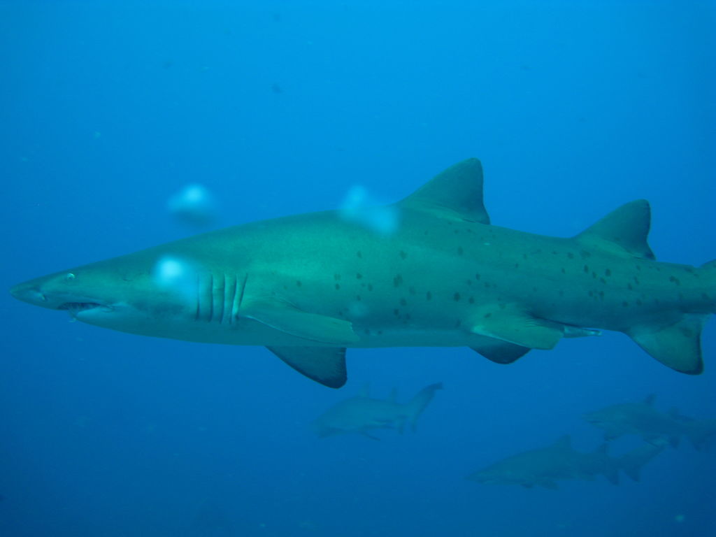 2b791a60-009d-4338-a303-f40e18839490