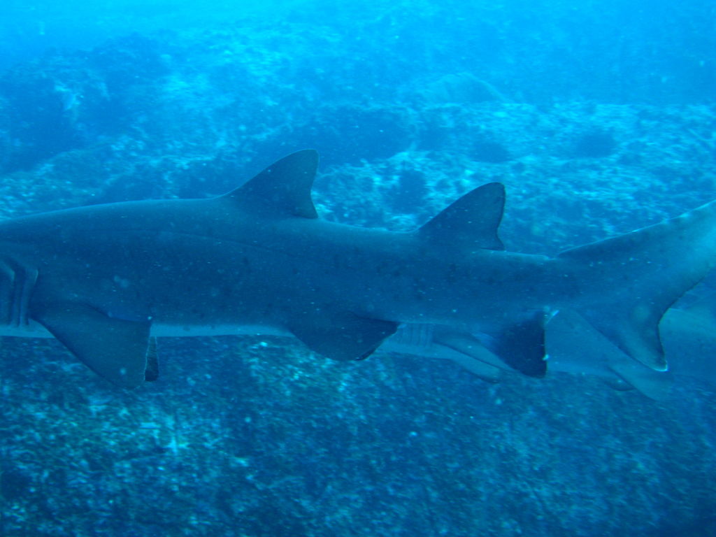 fb72d0c9-f6a6-4b10-b14d-b7af1a7c6655