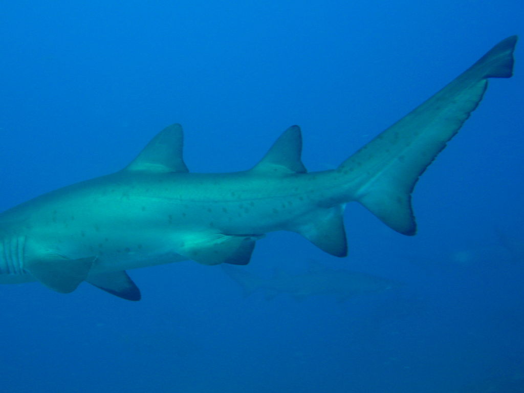 6bdaf235-d0a9-4eb8-98a0-725a2cc62190