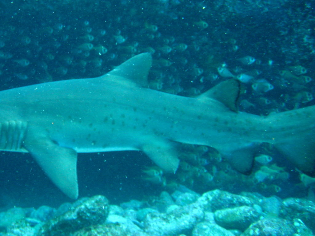 37feb32b-c639-4bca-bfad-eb15ad8b30eb