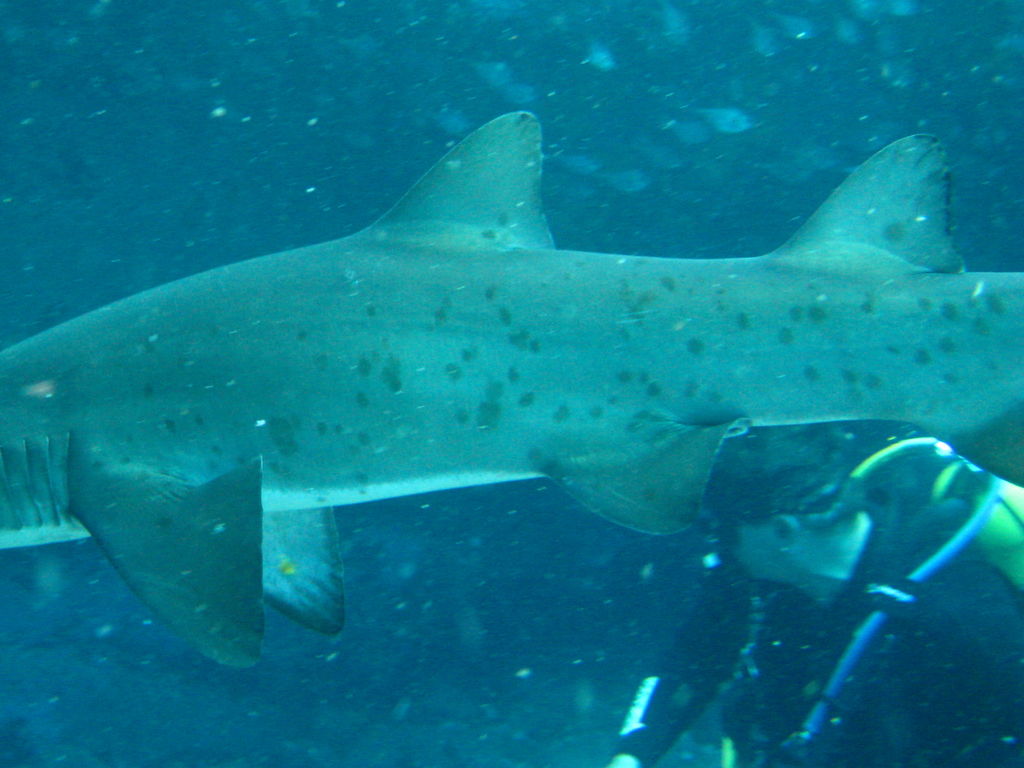 04045857-4616-46ab-be94-75abca42f107