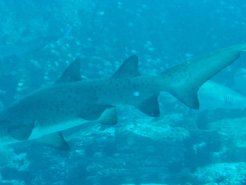 f7083239-d847-4fbf-a663-384909549df8