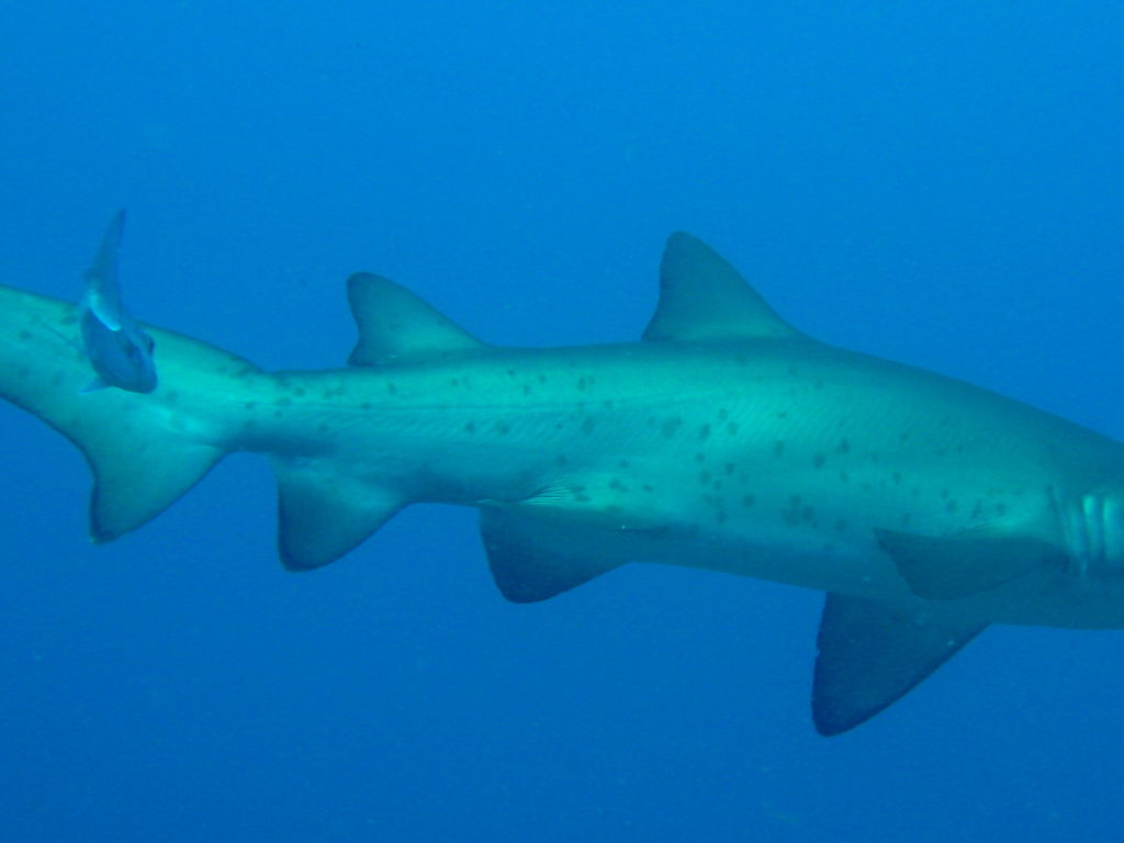 f199d908-4796-4ead-b89b-ad6c26ffa9fd