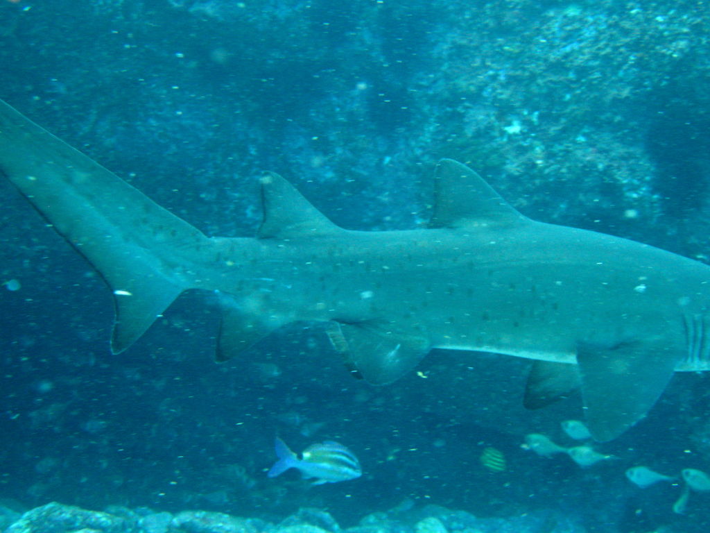 c3647439-12f5-4506-b935-baa7d5fb19ef