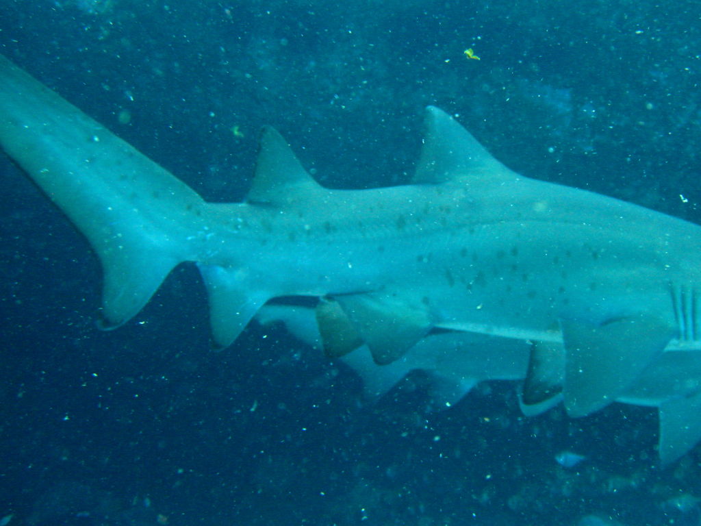 d9f6a2f7-3035-4d7e-8183-669e0d863ef6