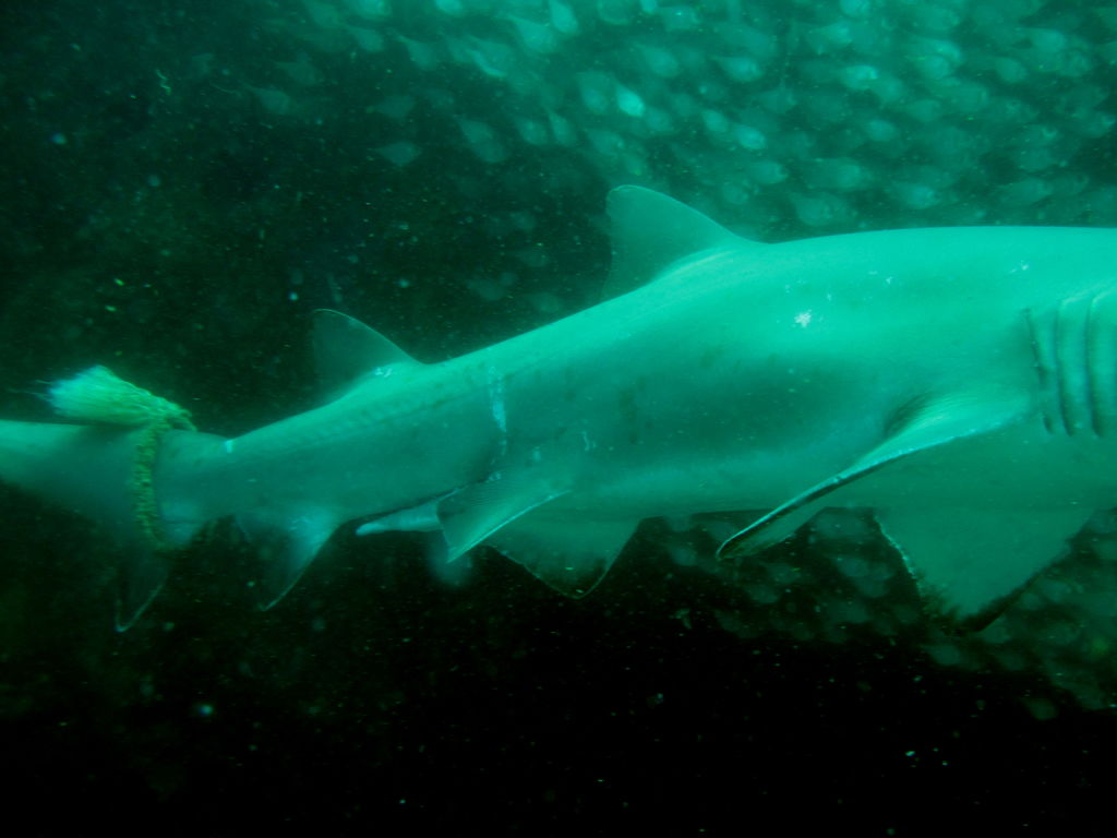 750bc515-eb5d-435d-9058-dce0c0d6870c