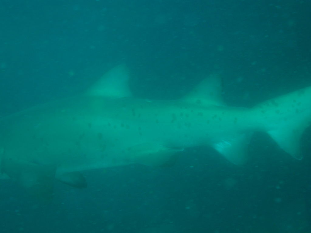 0ac70106-5a54-4ec9-87be-1b108dde41fa