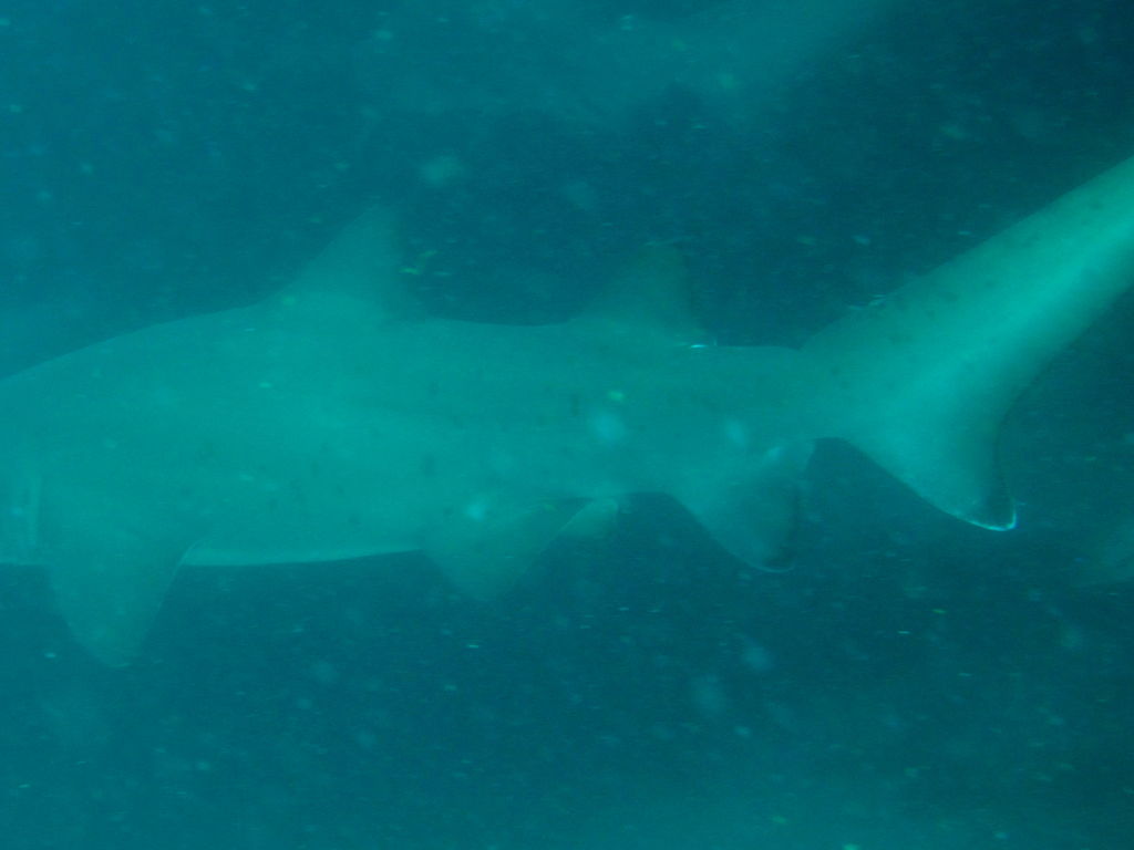 274a4940-658c-43cf-b983-1fb0c215e689