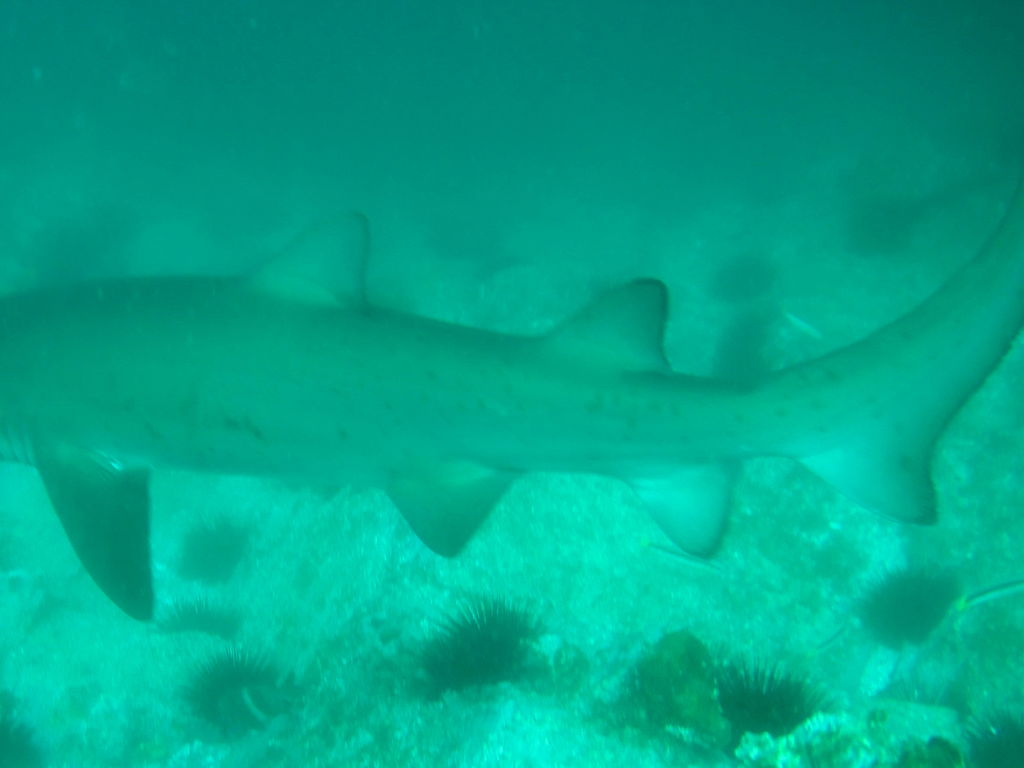 6865097a-9835-42d7-9604-42031d28c638