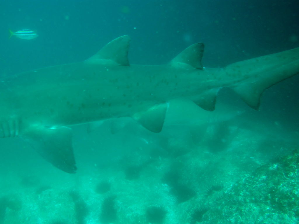 1a089937-e3ec-468b-9f86-c8bf0488e89f