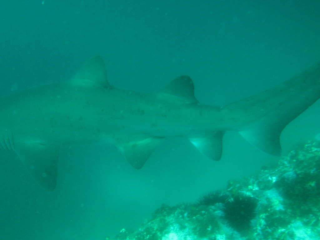 c24d8d03-62b8-49c5-99e9-5c783a7c2c50