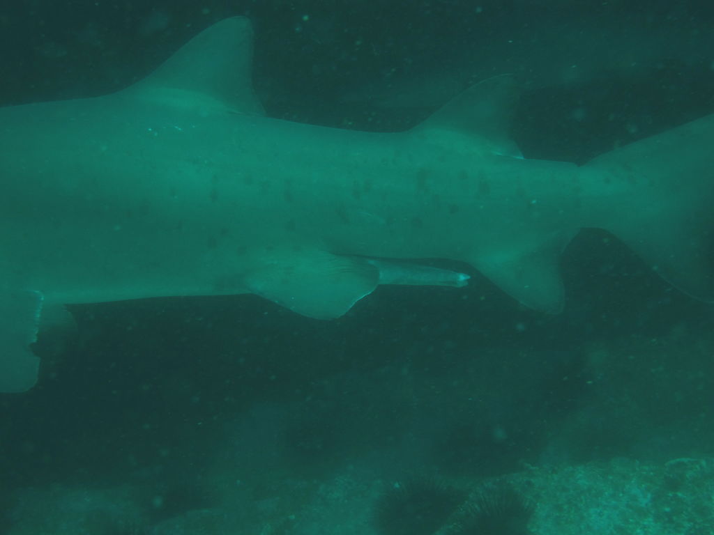 364fcbbf-3369-40ef-bd1b-494921978636