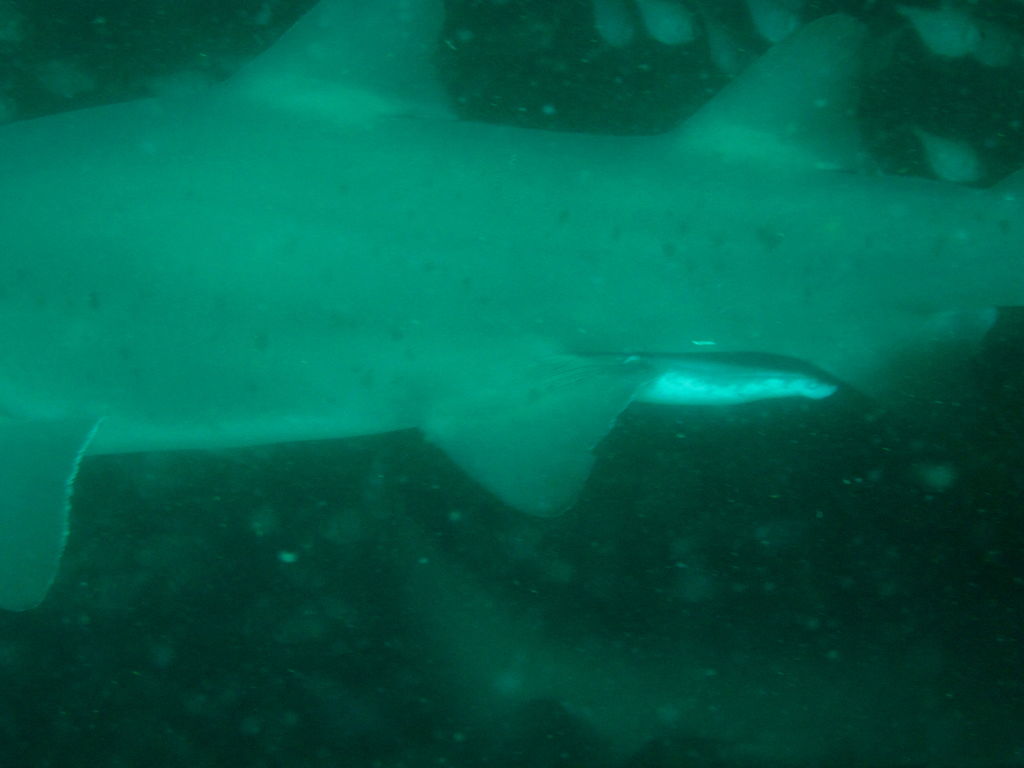 c45bce48-b8c5-408e-88f3-5cd11d1830f0