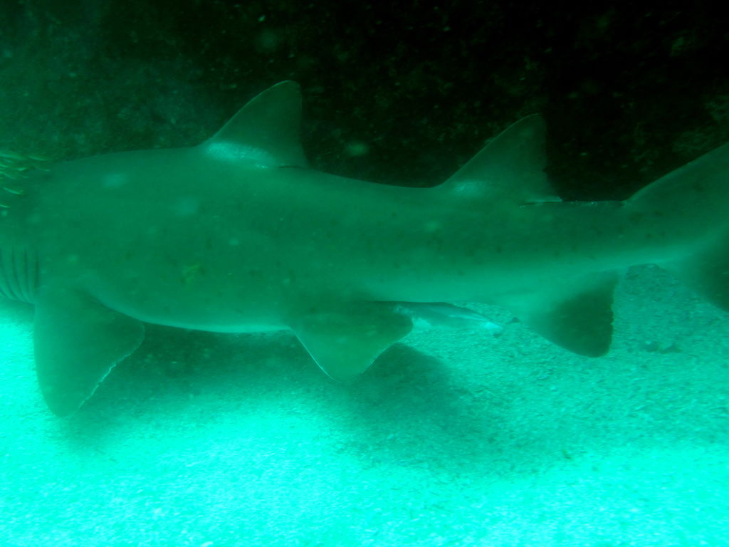 9b445674-eef3-421a-ab2b-a43baa87e26b