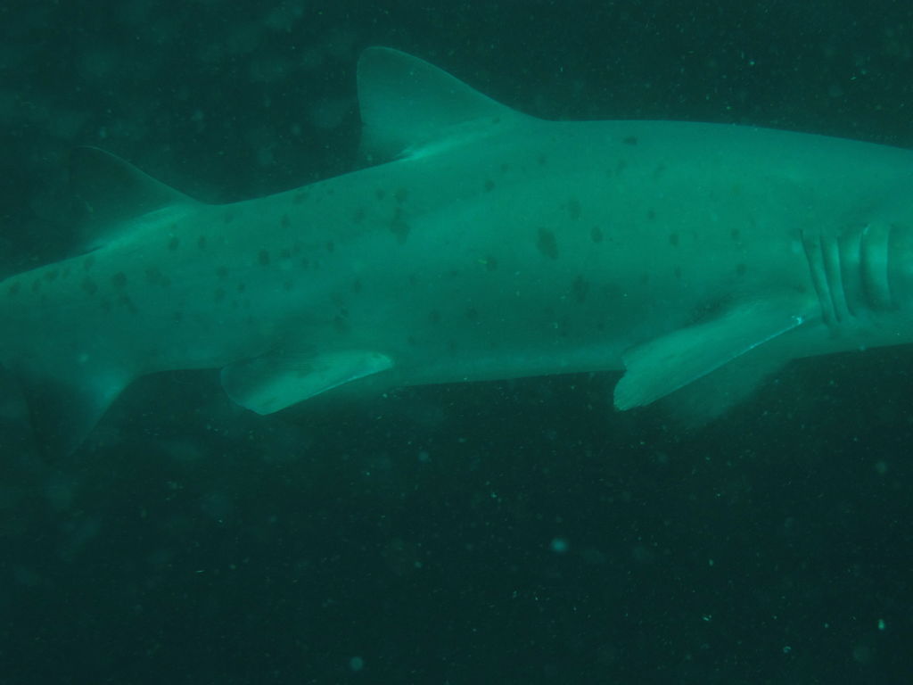 e2550640-f823-4cb6-a1ed-6dc7a6ee8875