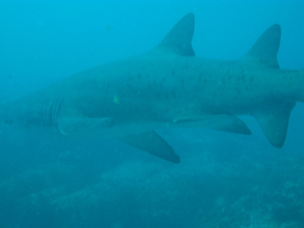 f7af28ed-da75-402f-ad22-148ff2cf764a