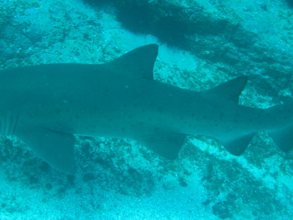 e43f1fd5-f5cb-4c53-8d34-d7b0c1bb8e70