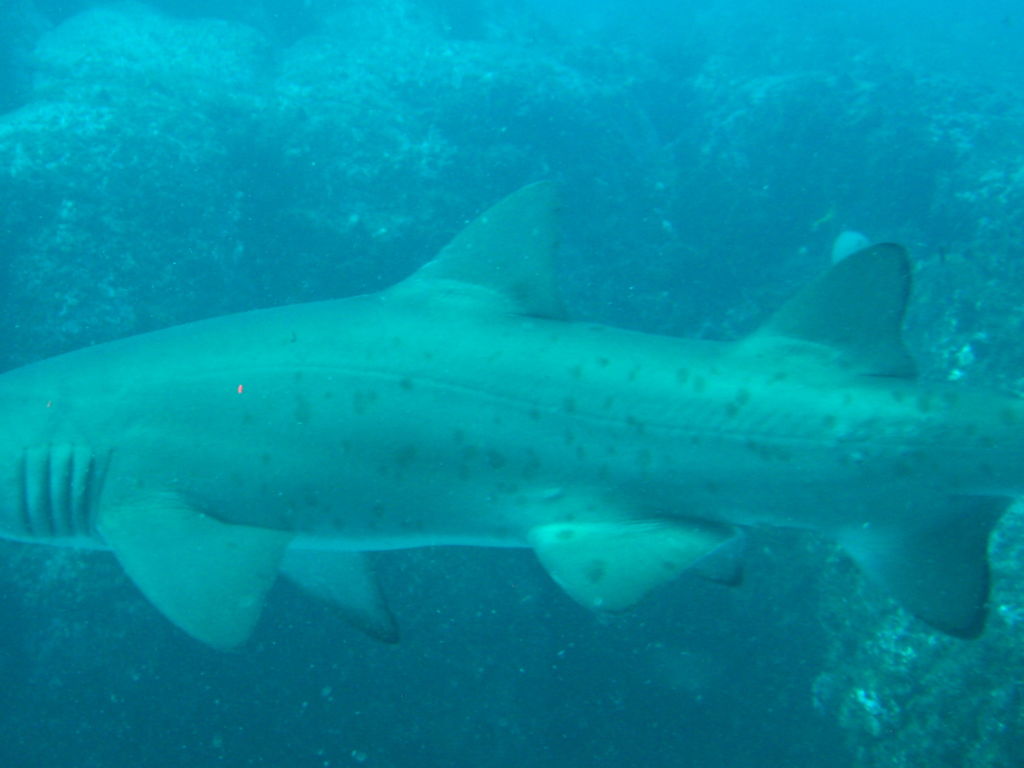 2083e0cf-7d45-419d-889f-55326a255065