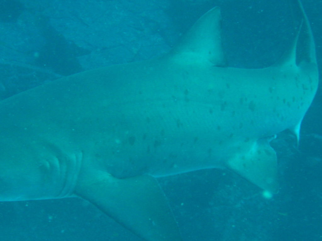 e43f1fd5-f5cb-4c53-8d34-d7b0c1bb8e70