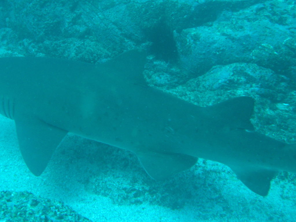 8ed32f9c-67f1-4f32-bb19-a6b2eca3b7cd