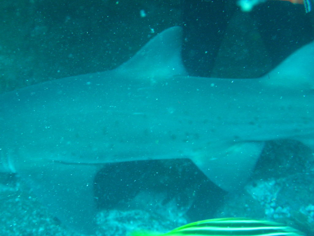 e67096ca-287b-4848-8010-31ef633a15d5