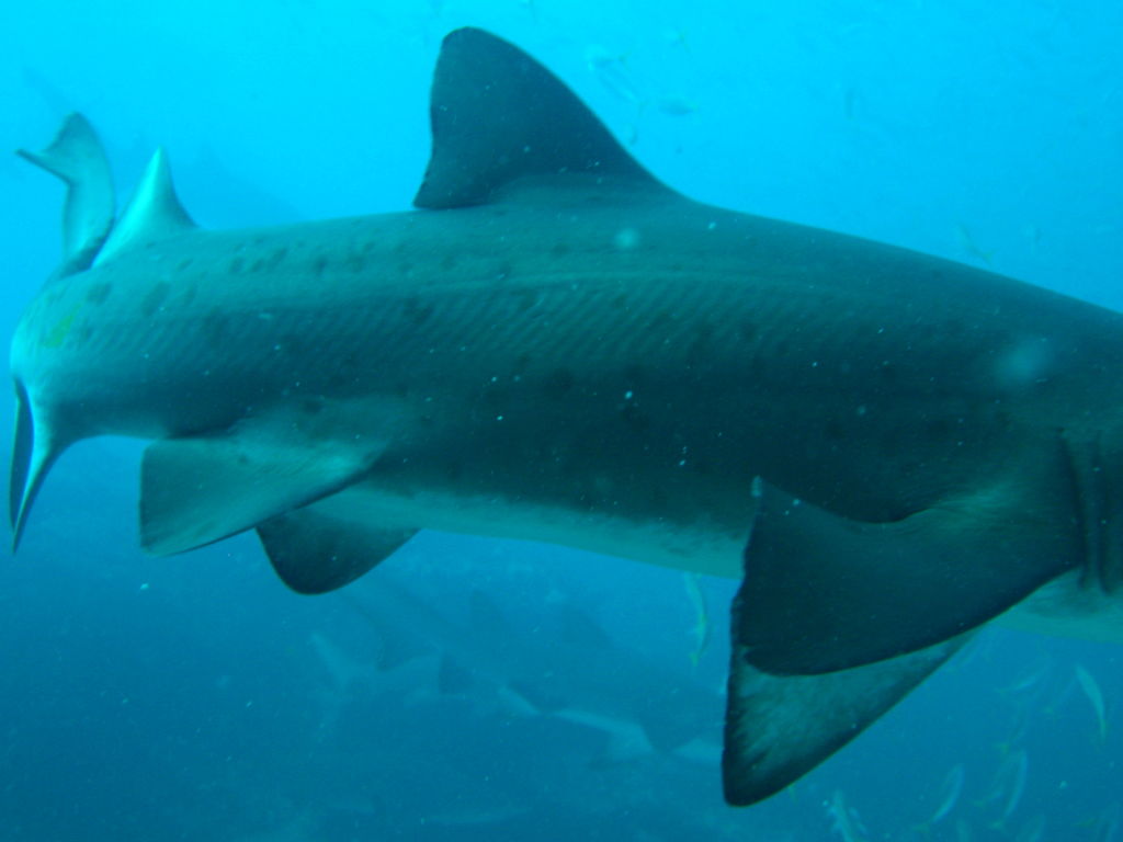 f3f632de-7800-426b-a23f-bc9574bfb240