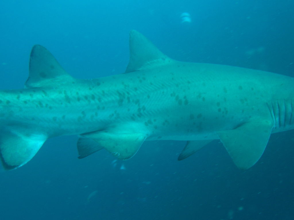 83c6b5d2-7419-4061-b6b7-55c9af005884