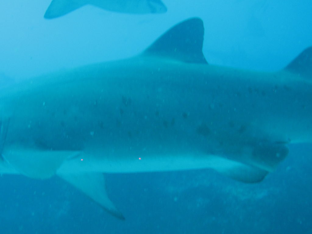 891c6220-3bbc-4da0-a853-a42f8d214e2c