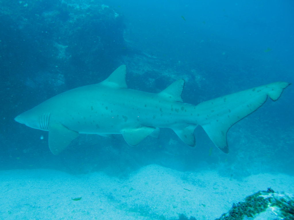 2cc59929-4957-4f31-8687-e1de624b412e