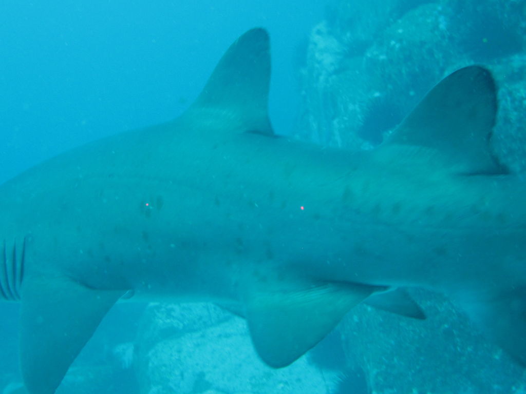 735453ae-c1f4-44de-9a94-54380918f2d4