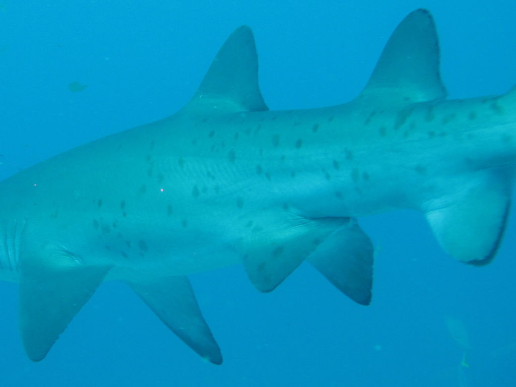 307d74ce-9ba3-4956-b39b-1b83c606d4ac