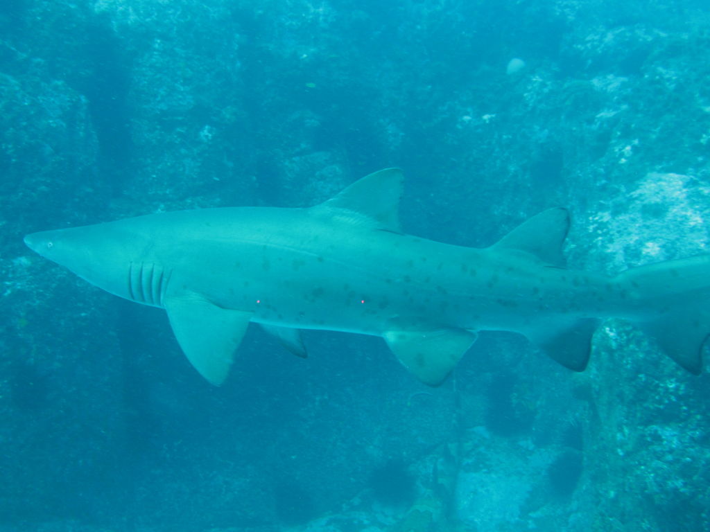 eaeaef4e-28b2-4130-819a-195d99afa52c