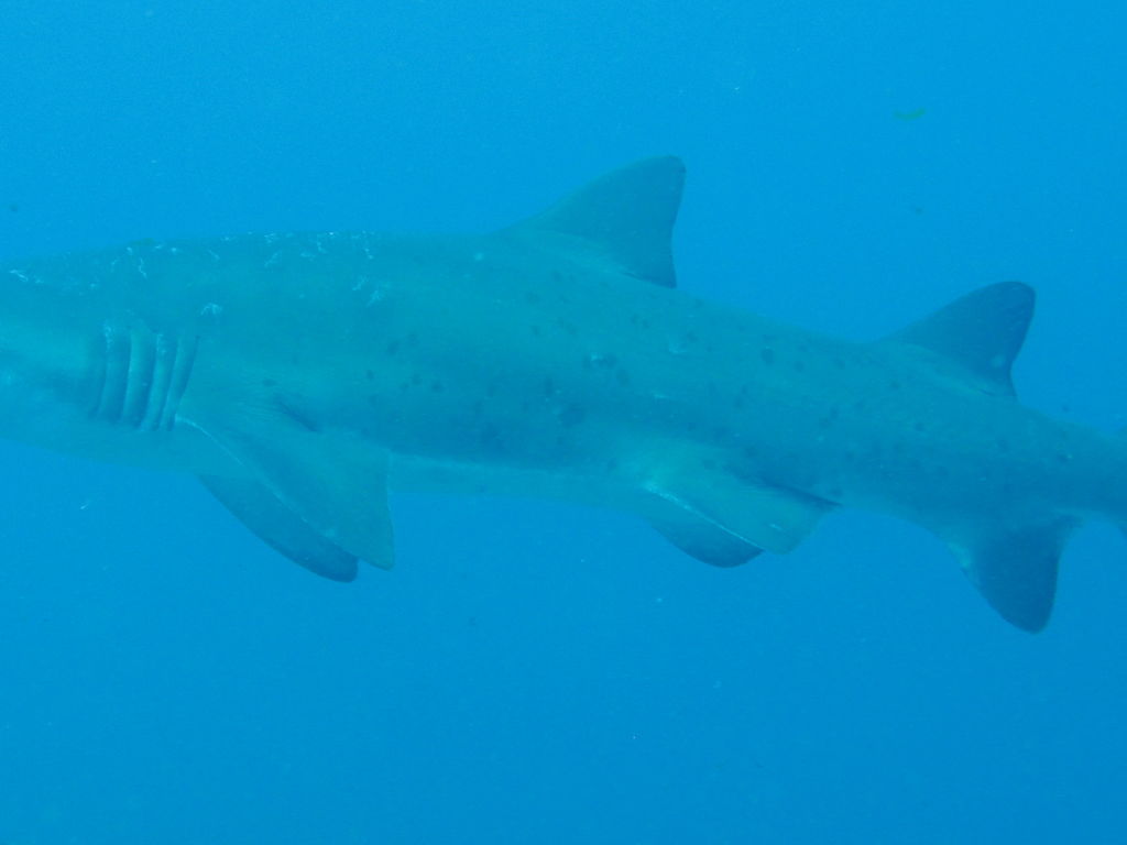 d8b7e2d1-3e5b-4905-8e48-0cbbb9e02a9e