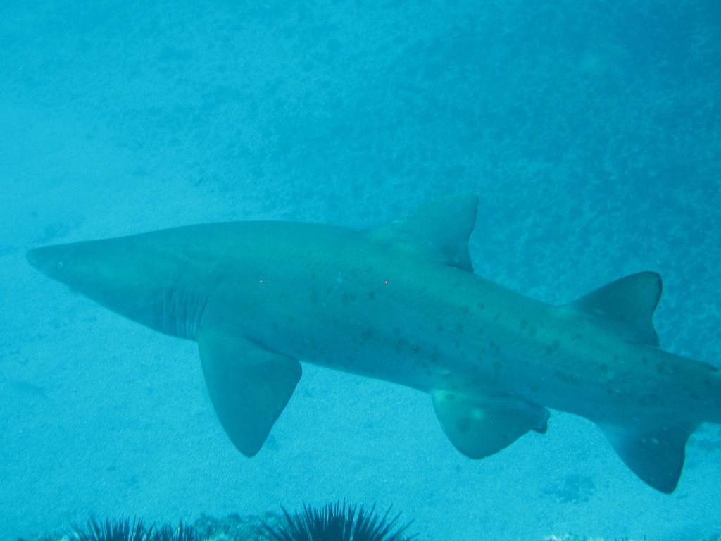 2083e0cf-7d45-419d-889f-55326a255065