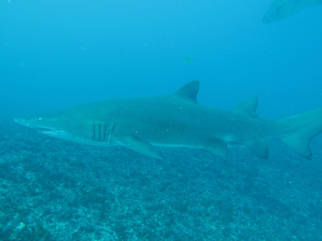 4b137ff3-dbf3-4f65-8545-a6bb4f33467c