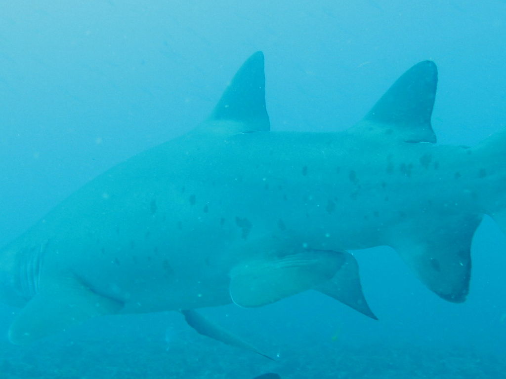 2cc59929-4957-4f31-8687-e1de624b412e