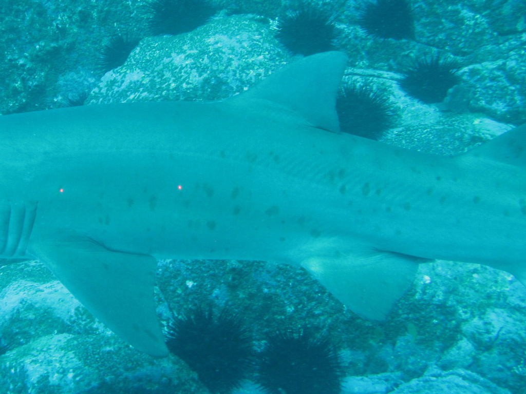 313b24b3-12b3-48a4-a41c-98277fd342fe