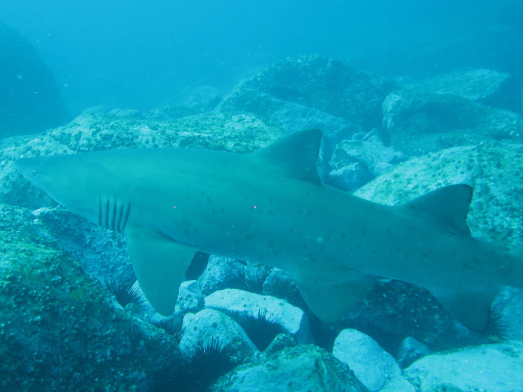 a5f56cb7-f123-4d27-baa2-20ed61c8785a